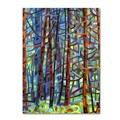 Trademark Fine Art Mandy Budan 'In A Pine Forest' Canvas Art, 14x19 ALI0923-C1419GG